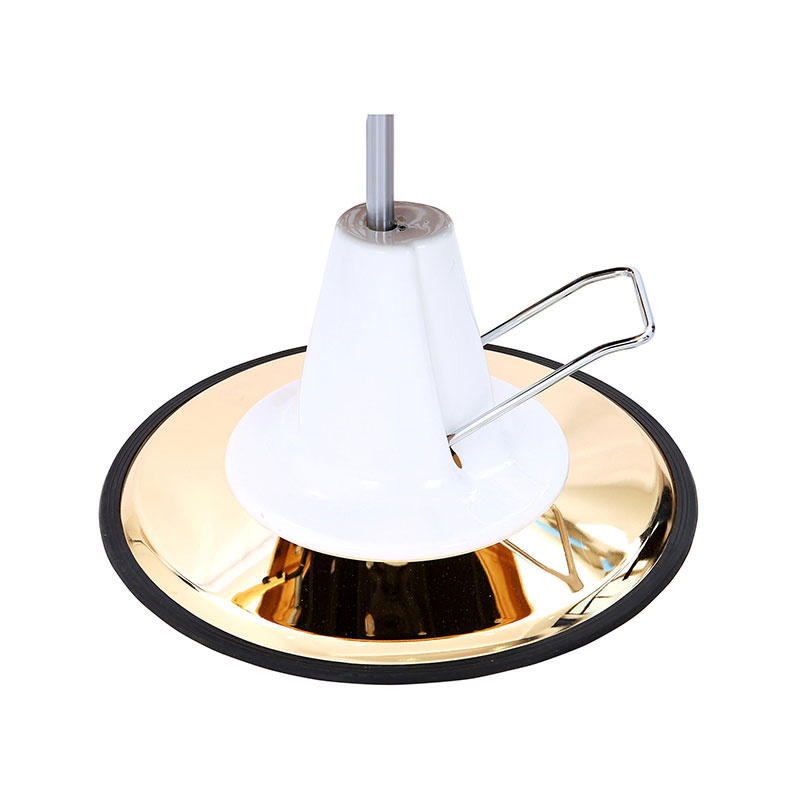 HZ22DG Vintage brijačka stolica hidraulična pumpa sa zlatnom bazom