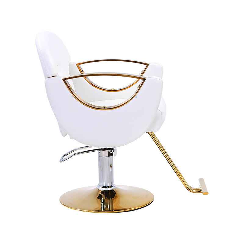 HZ8765BZ / HZ8765WZ / HZ8765PZ / HZ8765Z Lagana salonska stolica