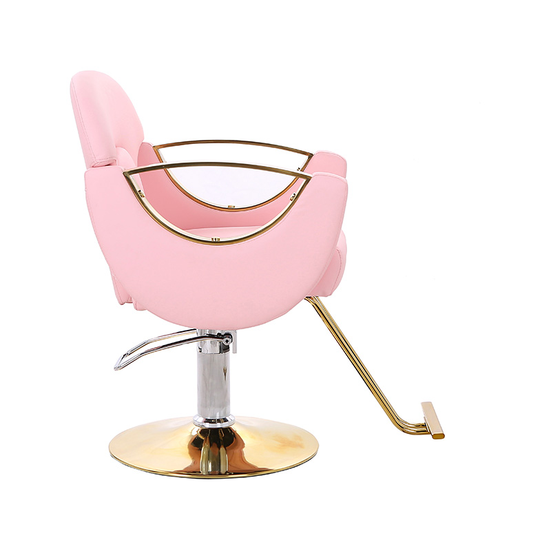 HZ8765BZ / HZ8765WZ / HZ8765PZ / HZ8765Z Lagana salonska stolica