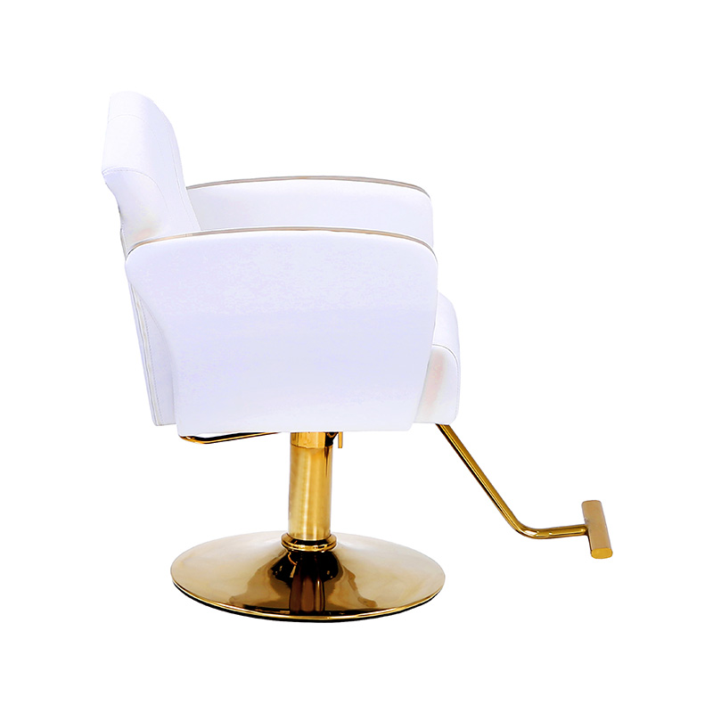 HZ8808 / HZ8808W Auty salonske stilske stolice